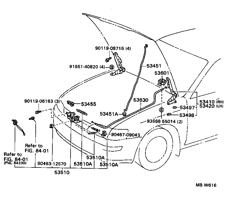  COROLLA |  HOOD LOCK HINGE