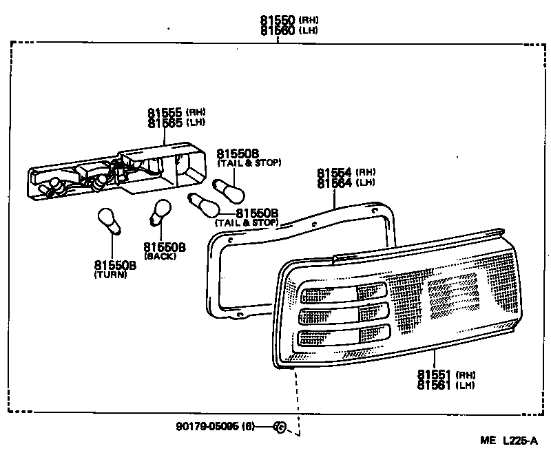  SUPRA |  REAR COMBINATION LAMP