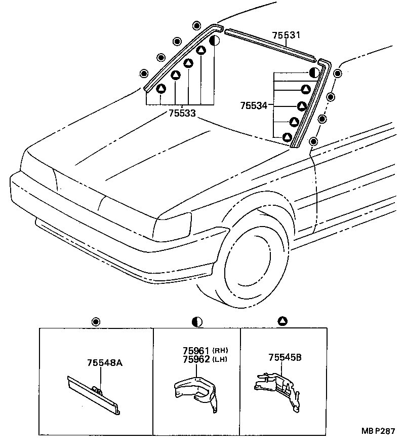  CAMRY |  FRONT MOULDING