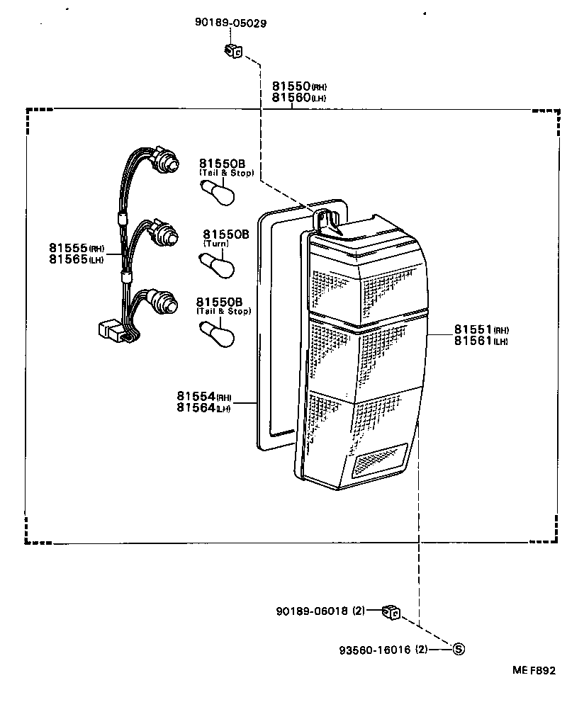  MODEL F |  REAR COMBINATION LAMP