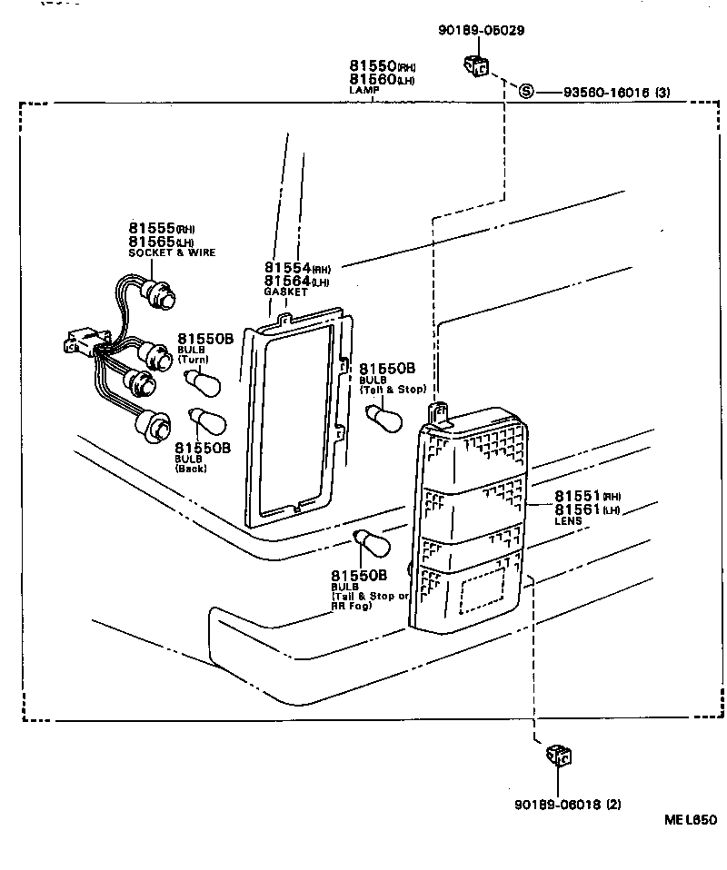  MODEL F |  REAR COMBINATION LAMP