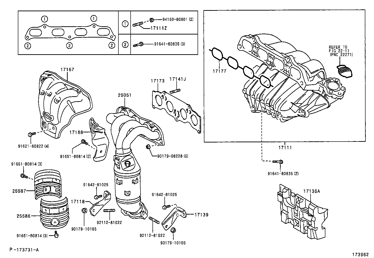  IPSUM |  MANIFOLD