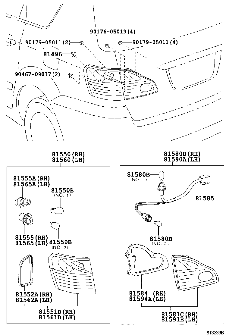  IPSUM |  REAR COMBINATION LAMP