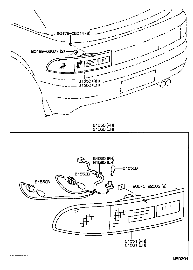  SERA |  REAR COMBINATION LAMP