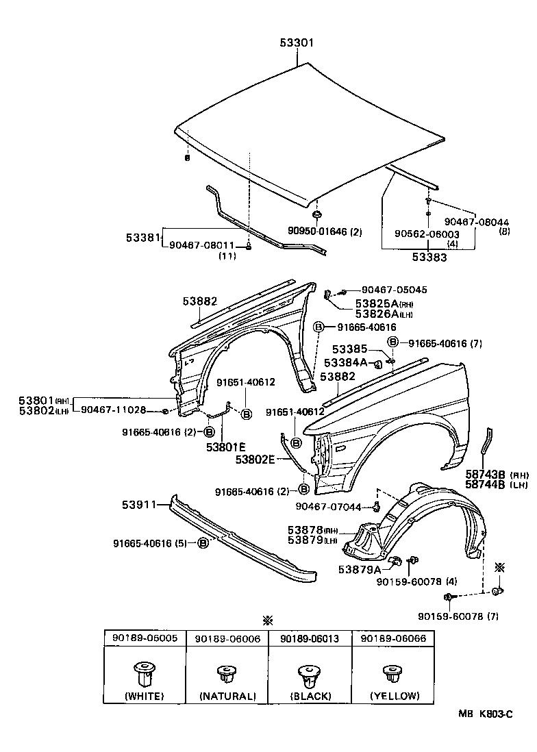  TERCEL |  HOOD FRONT FENDER