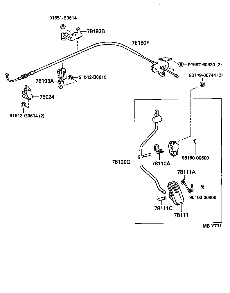  CARINA E SED LB JPP |  ACCELERATOR LINK