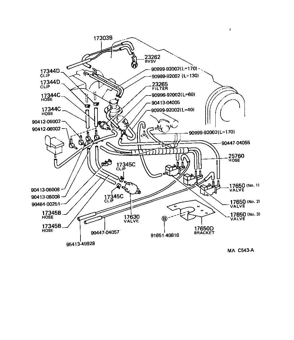  TERCEL |  VACUUM PIPING