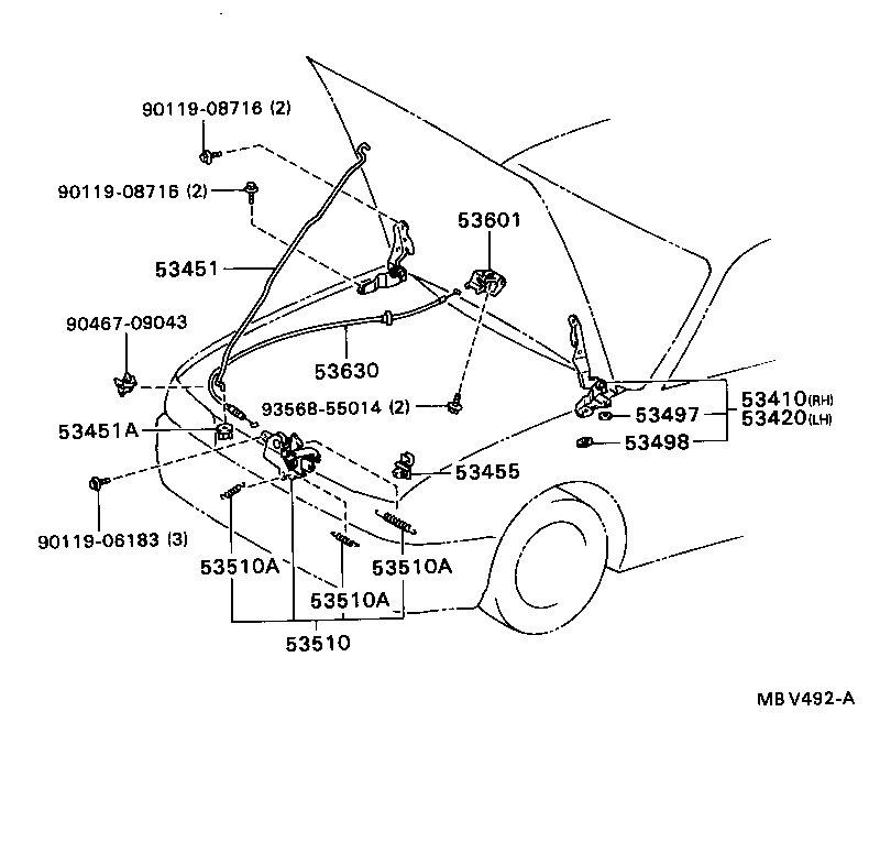  COROLLA |  HOOD LOCK HINGE