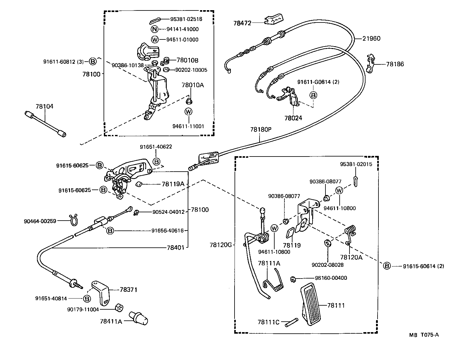  CROWN |  ACCELERATOR LINK