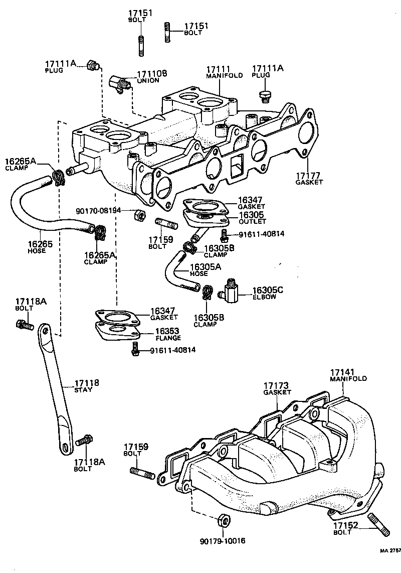  CARINA |  MANIFOLD