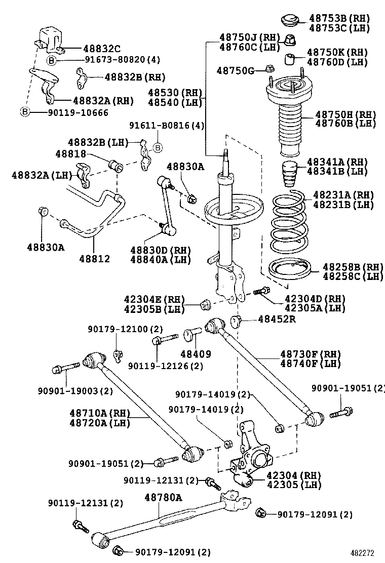  CAMRY |  REAR SPRING SHOCK ABSORBER